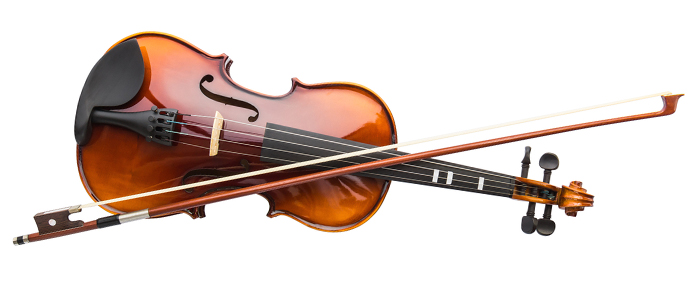 Picture of a typical violin